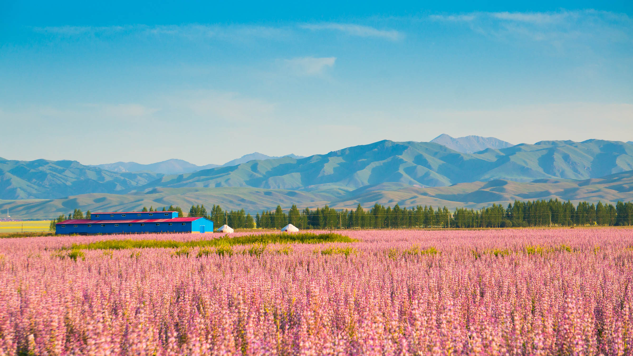 北疆大環線 夏季新疆最美自駕路線，一覽北疆絕色風光